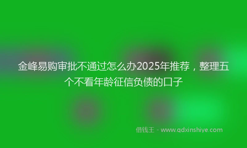 金峰易购审批不通过怎么办2025年推荐，整理五个不看年龄征信负债的口子
