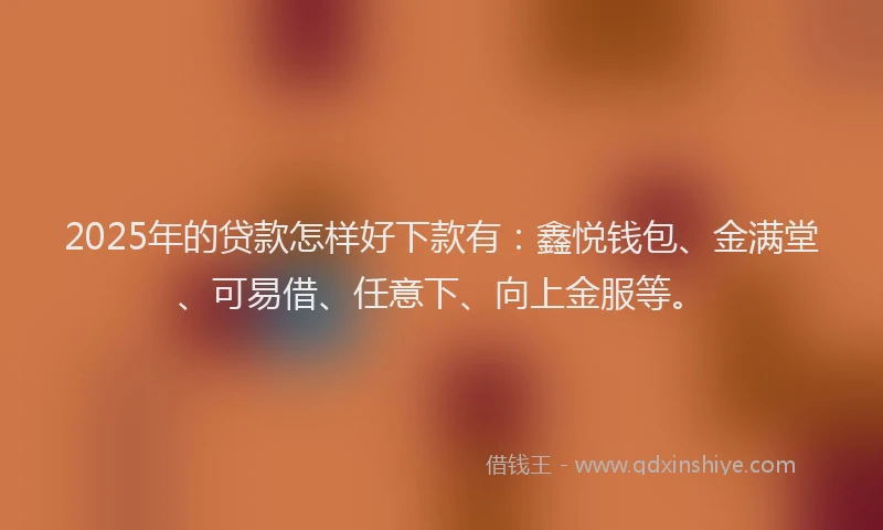 2025年的贷款怎样好下款有：鑫悦钱包、金满堂、可易借、任意下、向上金服等。