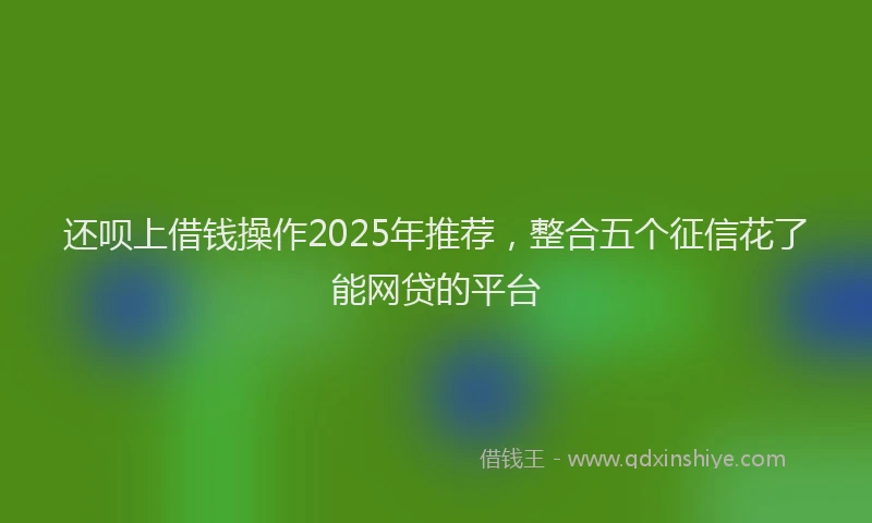还呗上借钱操作2025年推荐，整合五个征信花了能网贷的平台