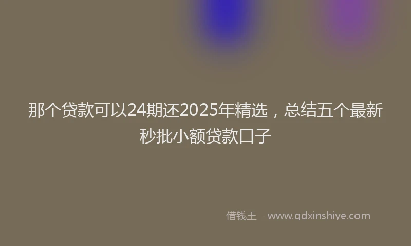 那个贷款可以24期还2025年精选，总结五个最新秒批小额贷款口子