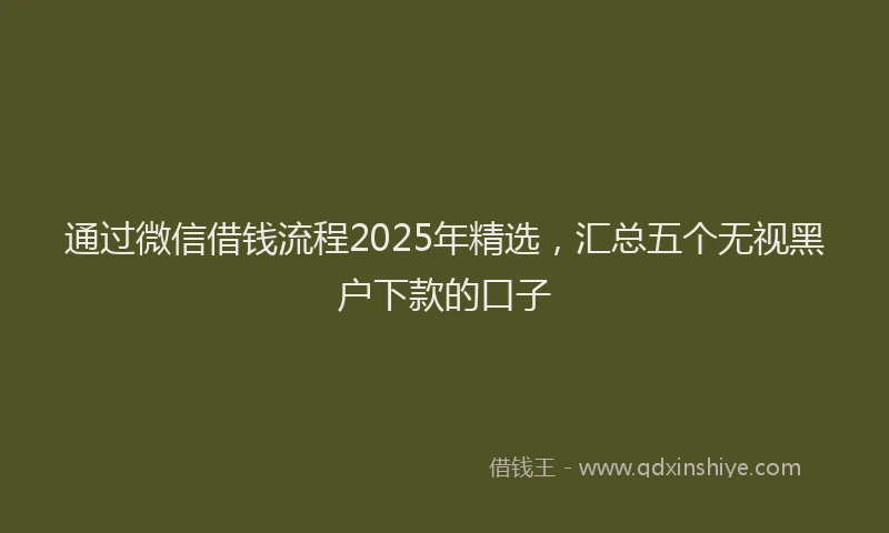 通过微信借钱流程2025年精选，汇总五个无视黑户下款的口子