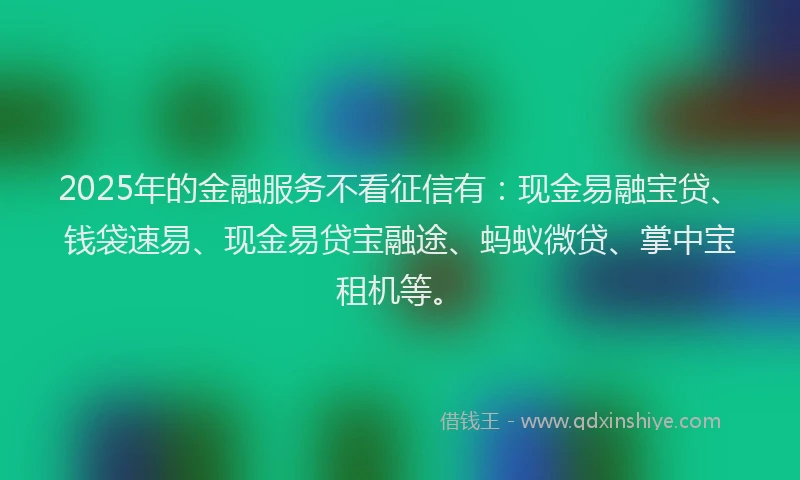2025年的金融服务不看征信有：现金易融宝贷、钱袋速易、现金易贷宝融途、蚂蚁微贷、掌中宝租机等。