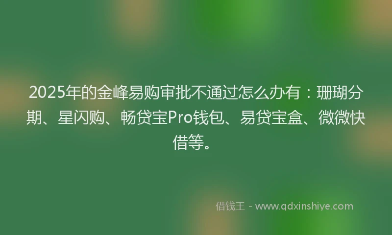 2025年的金峰易购审批不通过怎么办有：珊瑚分期、星闪购、畅贷宝Pro钱包、易贷宝盒、微微快借等。