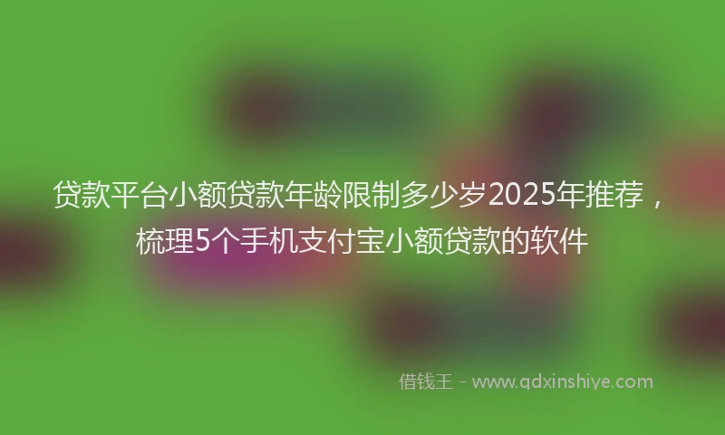 贷款平台小额贷款年龄限制多少岁2025年推荐，梳理5个手机支付宝小额贷款的软件