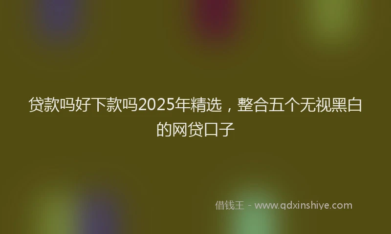 贷款吗好下款吗2025年精选，整合五个无视黑白的网贷口子
