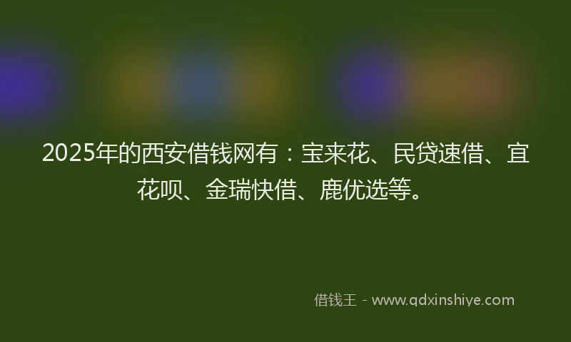 2025年的西安借钱网有：宝来花、民贷速借、宜花呗、金瑞快借、鹿优选等。