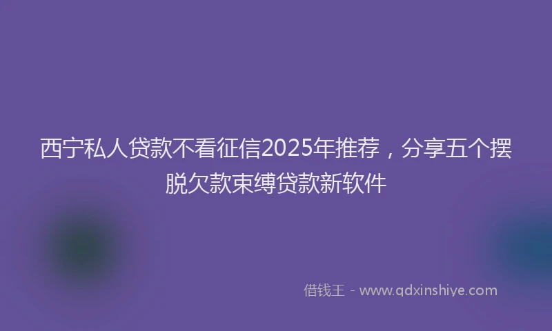 西宁私人贷款不看征信2025年推荐，分享五个摆脱欠款束缚贷款新软件