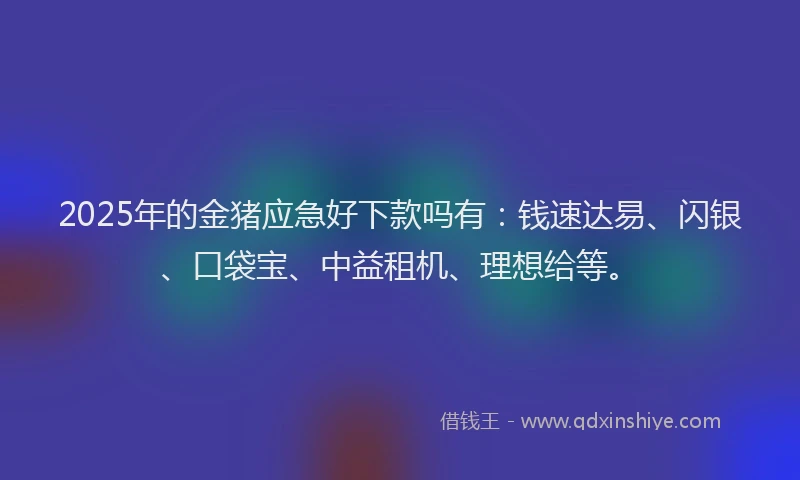 2025年的金猪应急好下款吗有：钱速达易、闪银、口袋宝、中益租机、理想给等。