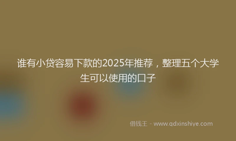 谁有小贷容易下款的2025年推荐，整理五个大学生可以使用的口子