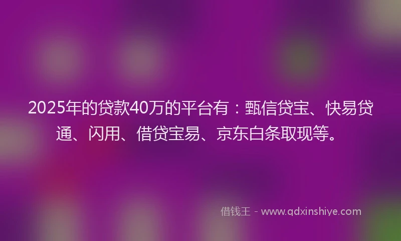 2025年的贷款40万的平台有：甄信贷宝、快易贷通、闪用、借贷宝易、京东白条取现等。