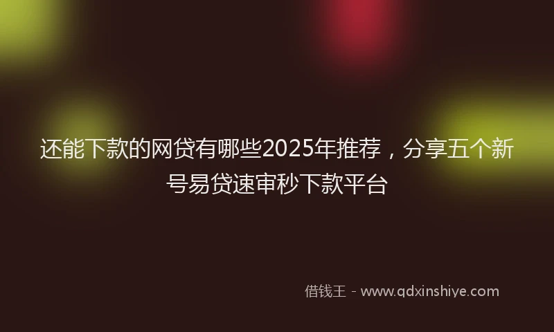 还能下款的网贷有哪些2025年推荐，分享五个新号易贷速审秒下款平台