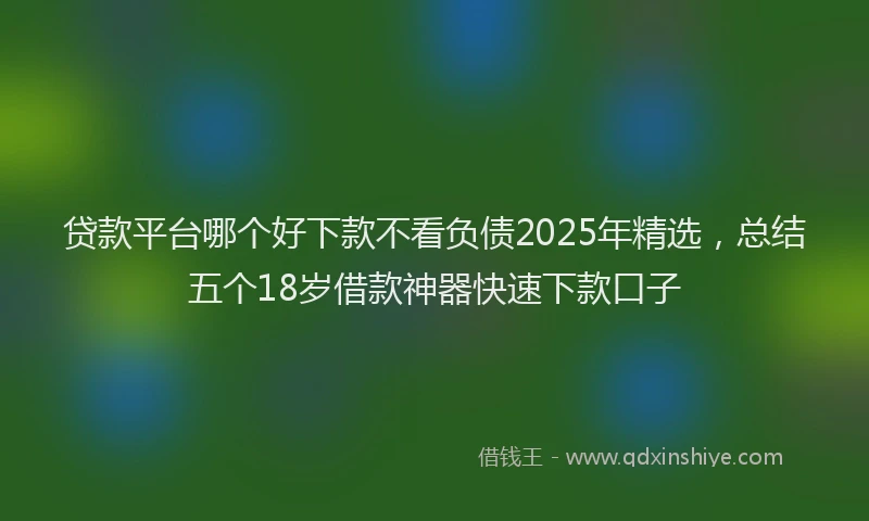 贷款平台哪个好下款不看负债2025年精选，总结五个18岁借款神器快速下款口子