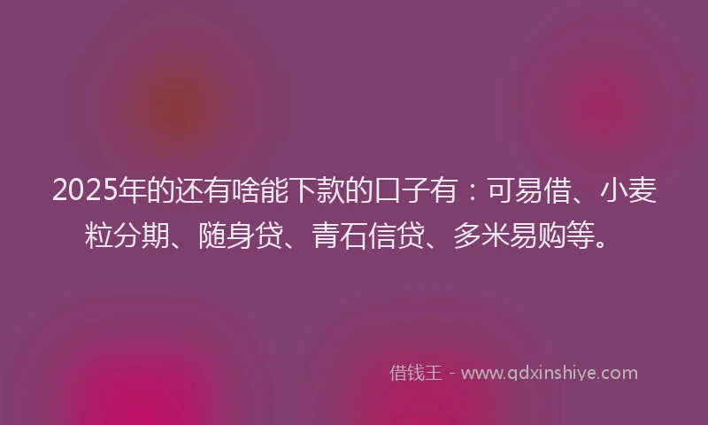 2025年的还有啥能下款的口子有：可易借、小麦粒分期、随身贷、青石信贷、多米易购等。