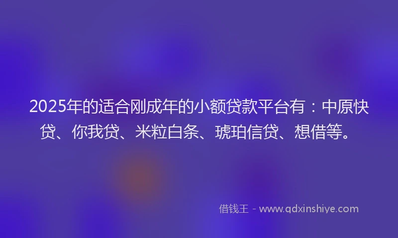 2025年的适合刚成年的小额贷款平台有：中原快贷、你我贷、米粒白条、琥珀信贷、想借等。