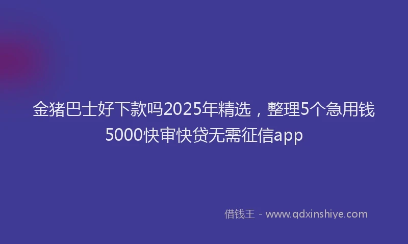 金猪巴士好下款吗2025年精选，整理5个急用钱5000快审快贷无需征信app