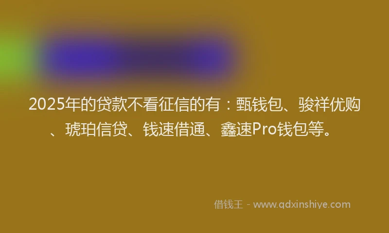 2025年的贷款不看征信的有：甄钱包、骏祥优购、琥珀信贷、钱速借通、鑫速Pro钱包等。