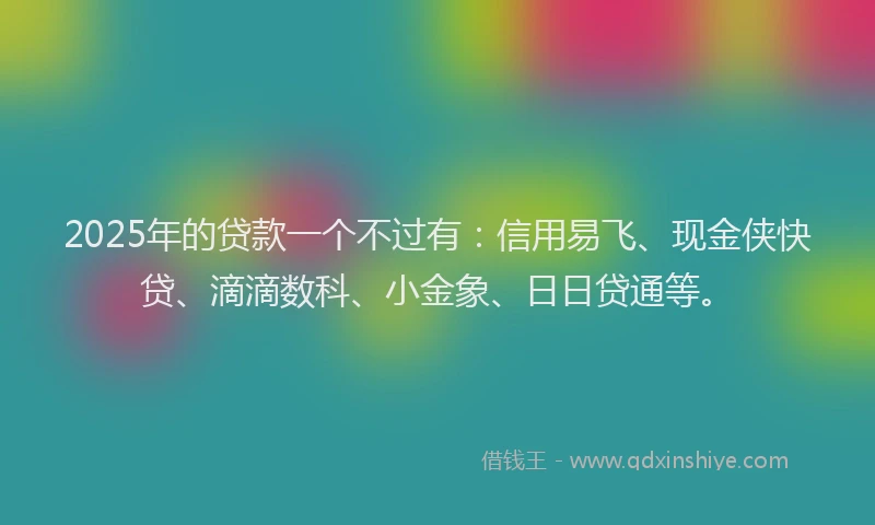 2025年的贷款一个不过有：信用易飞、现金侠快贷、滴滴数科、小金象、日日贷通等。