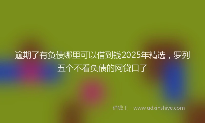 逾期了有负债哪里可以借到钱2025年精选，罗列五个不看负债的网贷口子