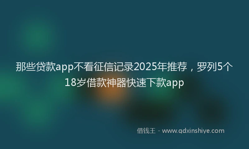 那些贷款app不看征信记录2025年推荐，罗列5个18岁借款神器快速下款app
