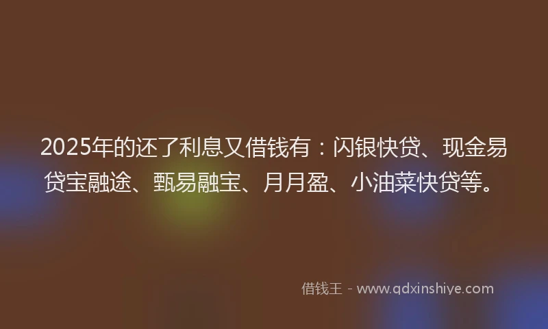 2025年的还了利息又借钱有：闪银快贷、现金易贷宝融途、甄易融宝、月月盈、小油菜快贷等。