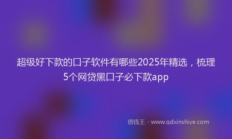 超级好下款的口子软件有哪些2025年精选，梳理5个网贷黑口子必下款app