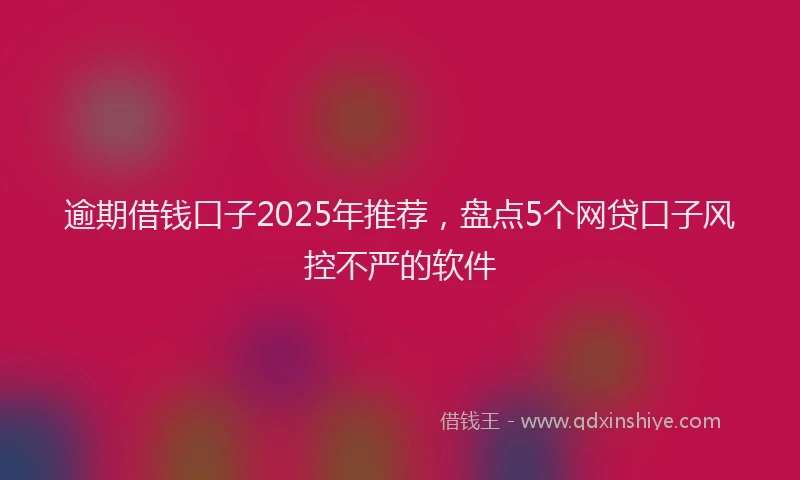 逾期借钱口子2025年推荐，盘点5个网贷口子风控不严的软件