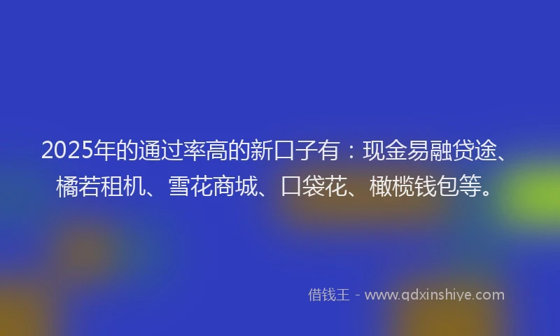 2025年的通过率高的新口子有：现金易融贷途、橘若租机、雪花商城、口袋花、橄榄钱包等。