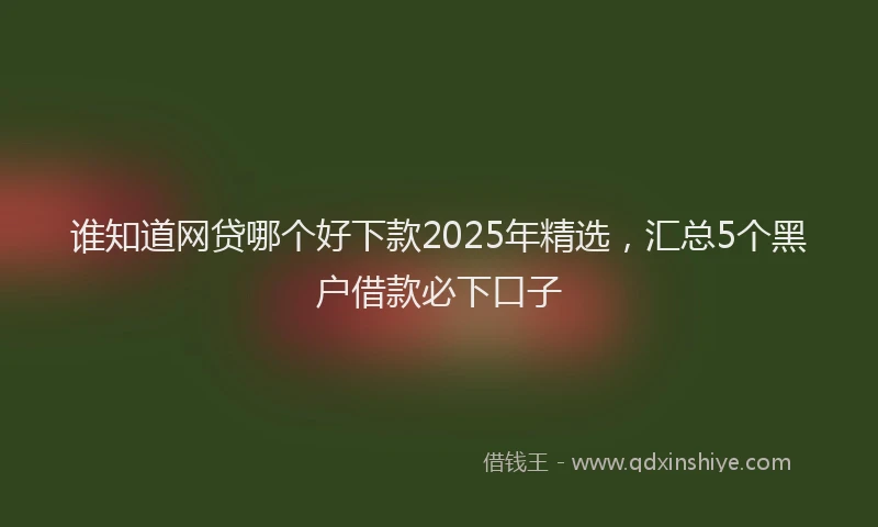 谁知道网贷哪个好下款2025年精选，汇总5个黑户借款必下口子