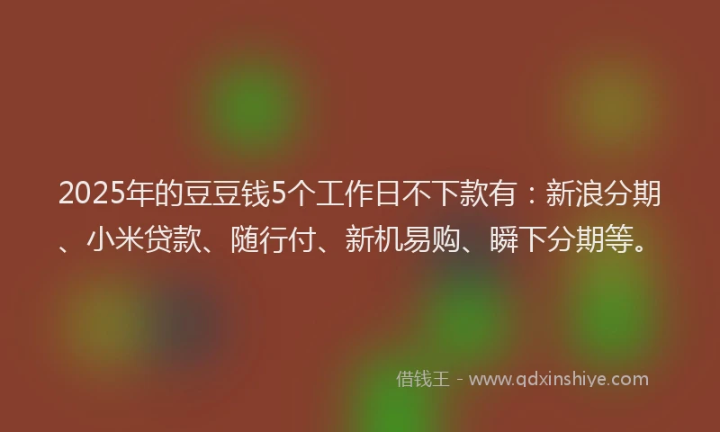 2025年的豆豆钱5个工作日不下款有：新浪分期、小米贷款、随行付、新机易购、瞬下分期等。