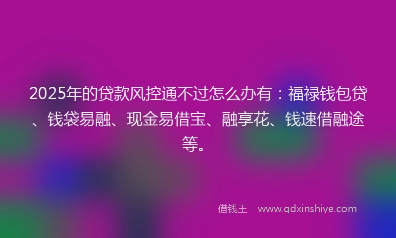 2025年的贷款风控通不过怎么办有：福禄钱包贷、钱袋易融、现金易借宝、融享花、钱速借融途等。