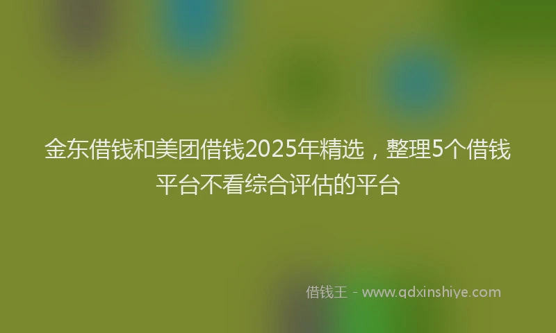 金东借钱和美团借钱2025年精选，整理5个借钱平台不看综合评估的平台