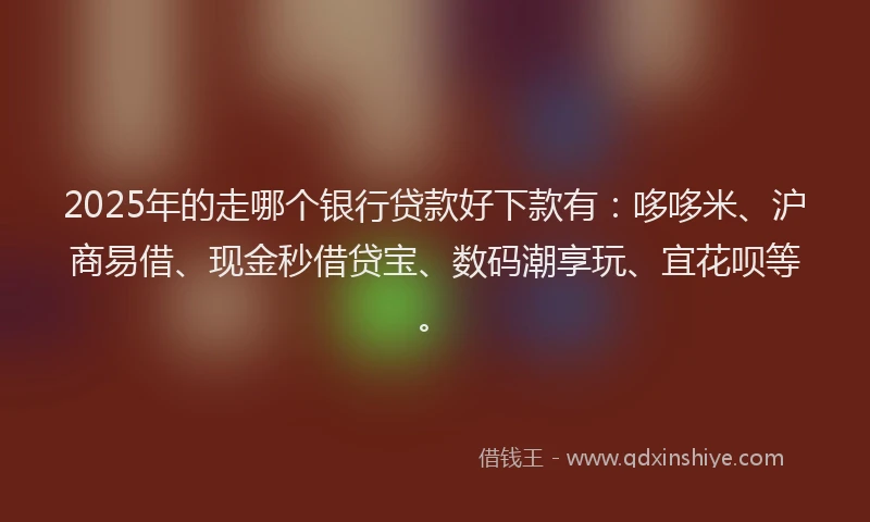 2025年的走哪个银行贷款好下款有：哆哆米、沪商易借、现金秒借贷宝、数码潮享玩、宜花呗等。