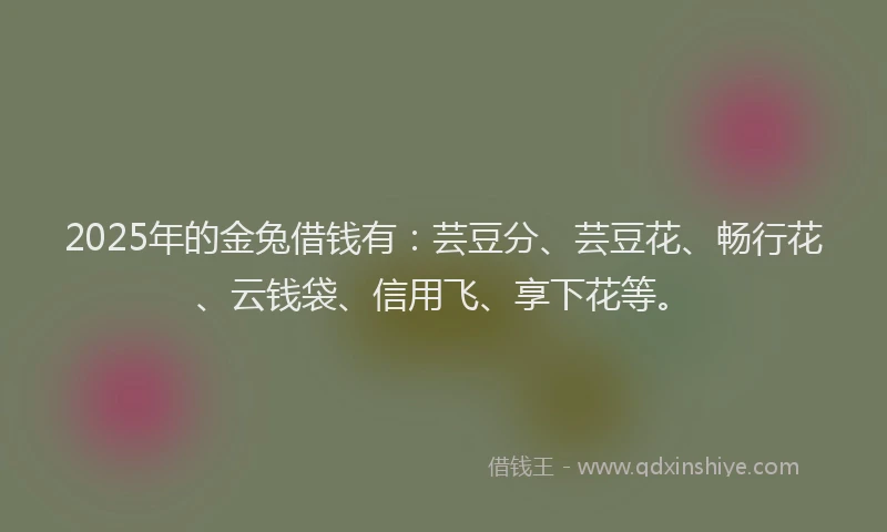 2025年的金兔借钱有：芸豆分、芸豆花、畅行花、云钱袋、信用飞、享下花等。