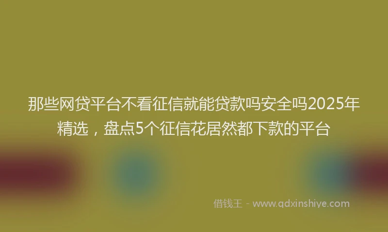 那些网贷平台不看征信就能贷款吗安全吗2025年精选，盘点5个征信花居然都下款的平台