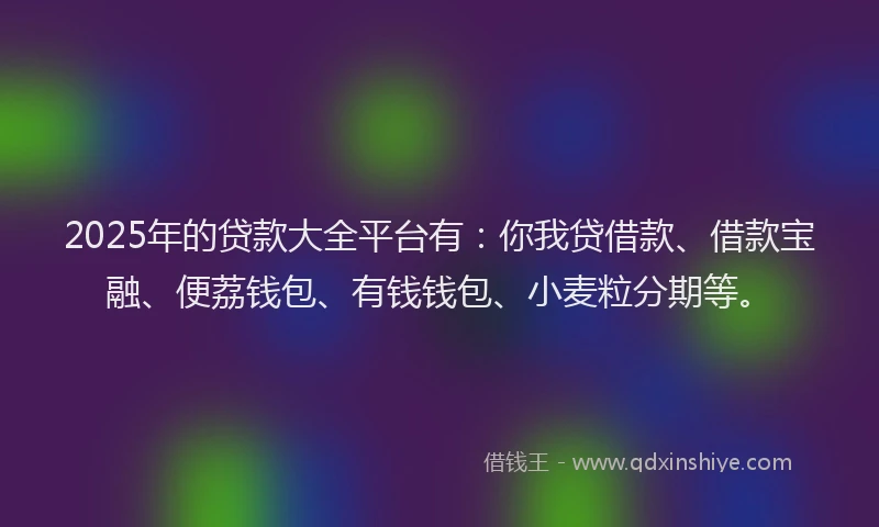 2025年的贷款大全平台有：你我贷借款、借款宝融、便荔钱包、有钱钱包、小麦粒分期等。