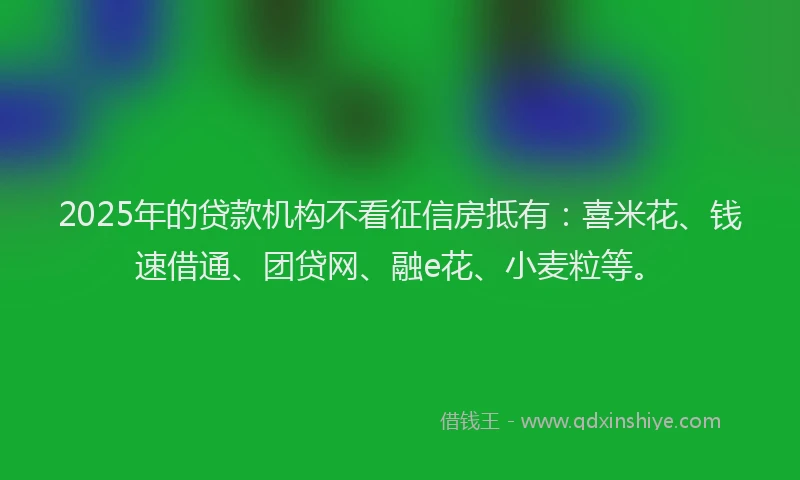 2025年的贷款机构不看征信房抵有：喜米花、钱速借通、团贷网、融e花、小麦粒等。