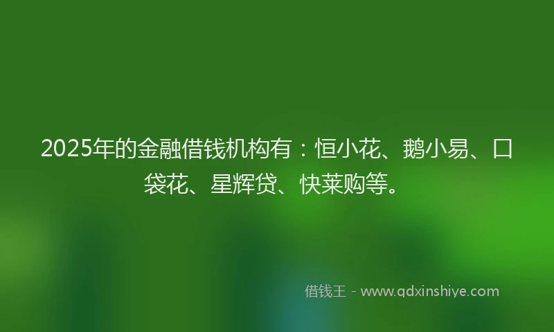 2025年的金融借钱机构有：恒小花、鹅小易、口袋花、星辉贷、快莱购等。