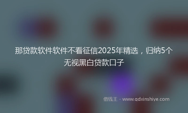 那贷款软件软件不看征信2025年精选，归纳5个无视黑白贷款口子