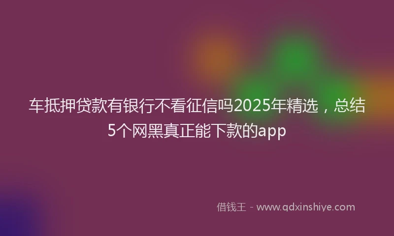 车抵押贷款有银行不看征信吗2025年精选，总结5个网黑真正能下款的app