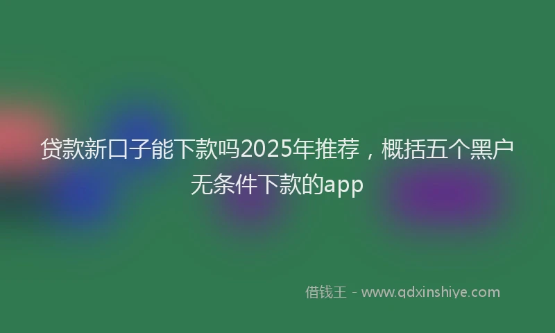 贷款新口子能下款吗2025年推荐，概括五个黑户无条件下款的app