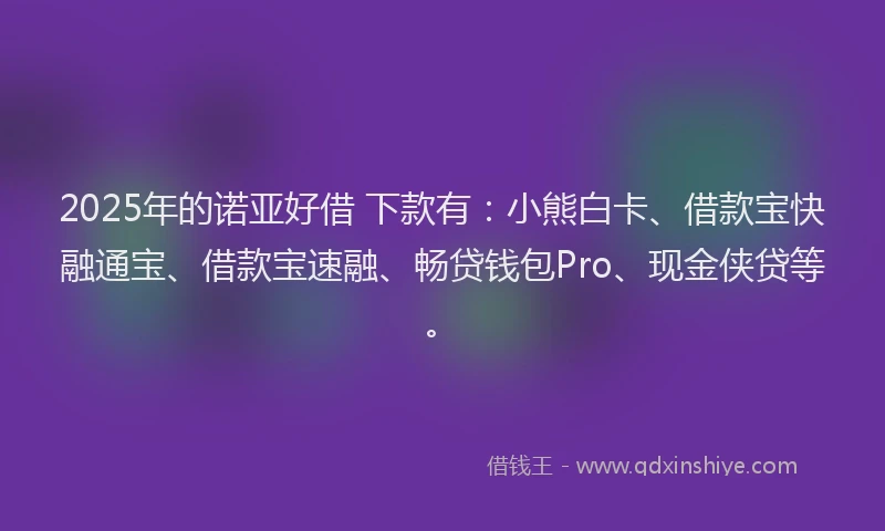 2025年的诺亚好借 下款有：小熊白卡、借款宝快融通宝、借款宝速融、畅贷钱包Pro、现金侠贷等。