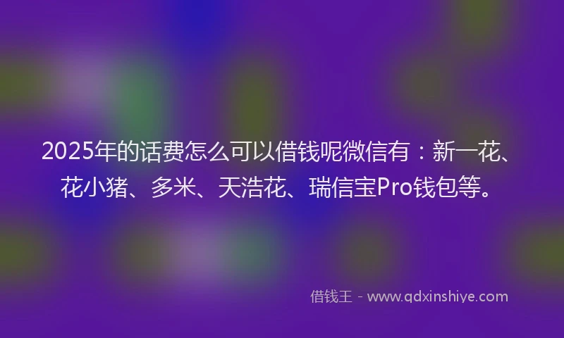 2025年的话费怎么可以借钱呢微信有：新一花、花小猪、多米、天浩花、瑞信宝Pro钱包等。