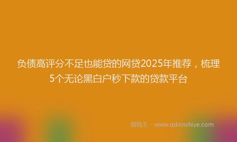 负债高评分不足也能贷的网贷2025年推荐，梳理5个无论黑白户秒下款的贷款平台