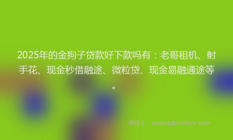 2025年的金狗子贷款好下款吗有：老哥租机、射手花、现金秒借融途、微粒贷、现金易融通途等。