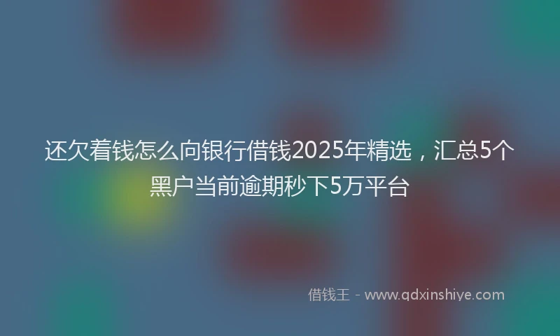 还欠着钱怎么向银行借钱2025年精选，汇总5个黑户当前逾期秒下5万平台