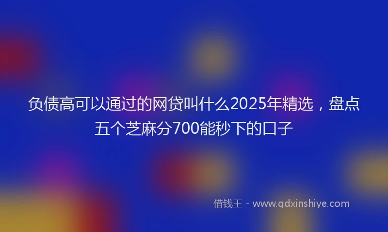 负债高可以通过的网贷叫什么2025年精选，盘点五个芝麻分700能秒下的口子
