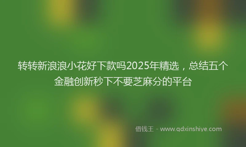 转转新浪浪小花好下款吗2025年精选，总结五个金融创新秒下不要芝麻分的平台
