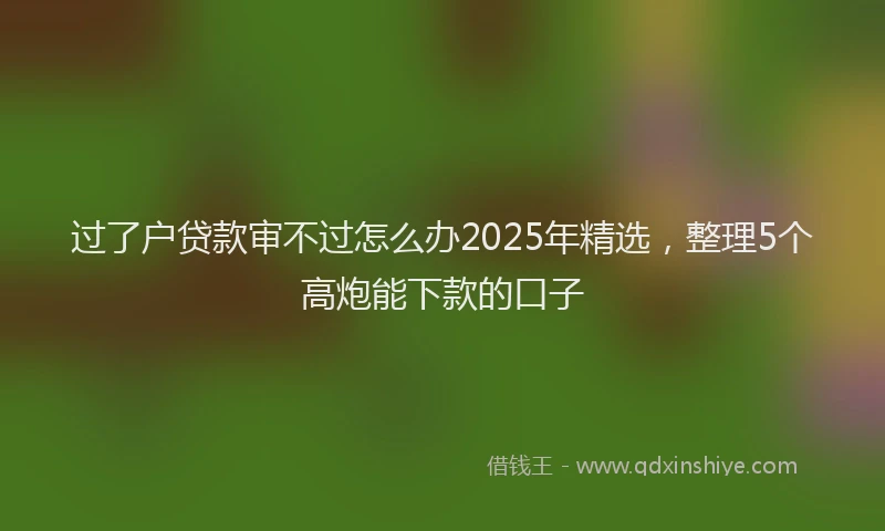 过了户贷款审不过怎么办2025年精选，整理5个高炮能下款的口子