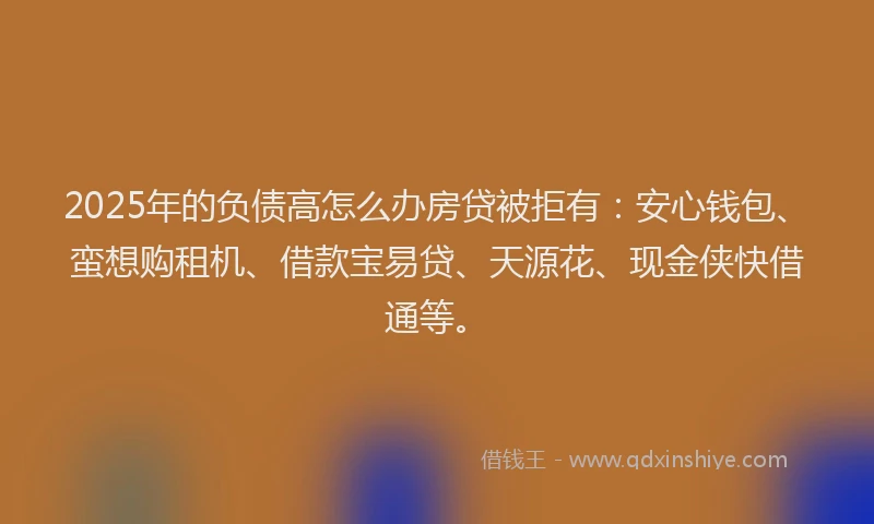 2025年的负债高怎么办房贷被拒有：安心钱包、蛮想购租机、借款宝易贷、天源花、现金侠快借通等。