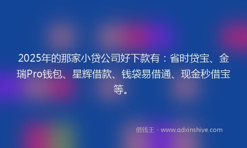 2025年的那家小贷公司好下款有：省时贷宝、金瑞Pro钱包、星辉借款、钱袋易借通、现金秒借宝等。